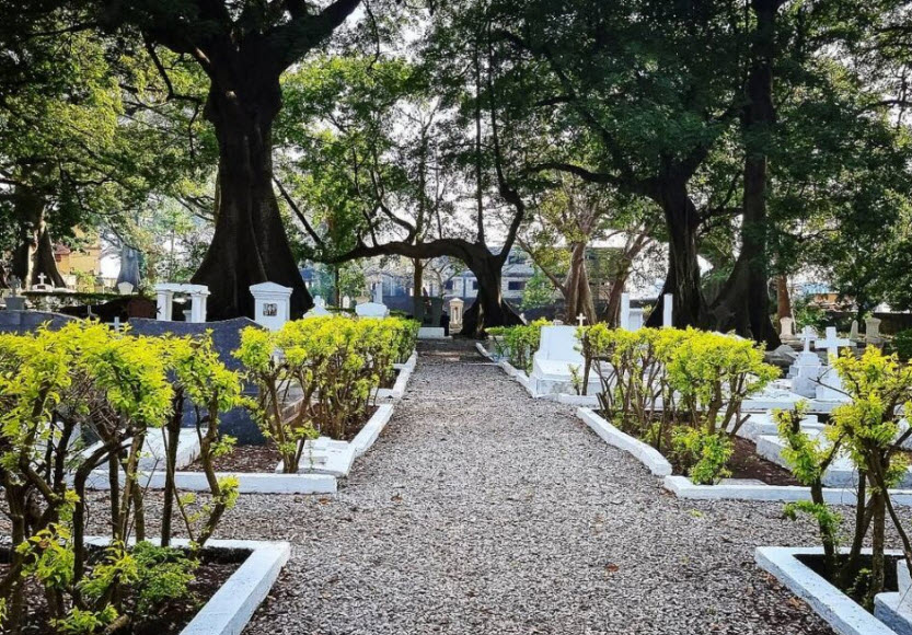 Cimetière de Boulbinet, Guinea